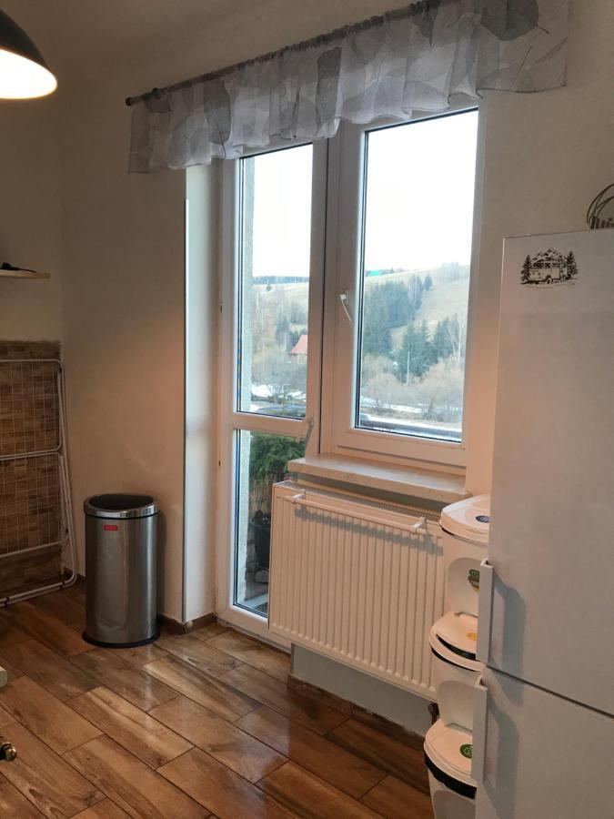 Apartman Orlicke Zahori Экстерьер фото